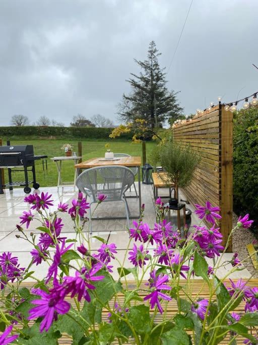 Anglesey Scandi Cabin Pentraeth Exterior foto